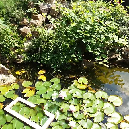 Györgyi Grill Garden Gasthof *